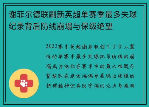 谢菲尔德联刷新英超单赛季最多失球纪录背后防线崩塌与保级绝望